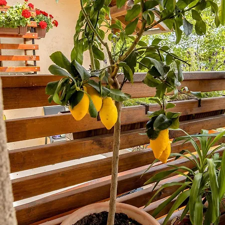 Herbal Marjetka Casa vacanze