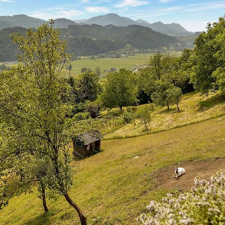 Ferienhaus Herbal Marjetka *