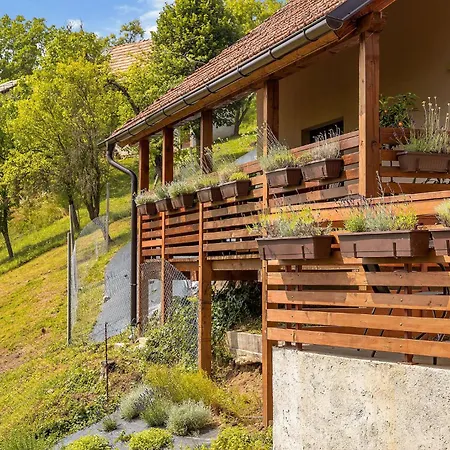 Ferienhaus Herbal Marjetka Šentjur