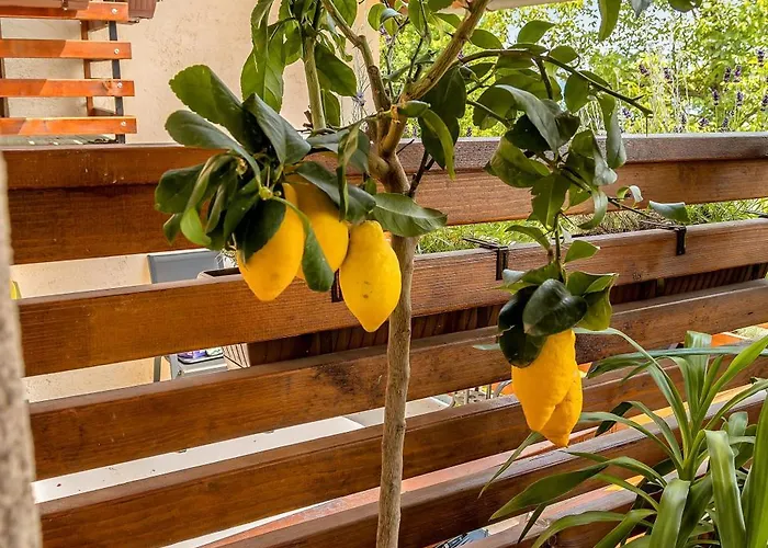 Herbal Marjetka Vakantiehuis