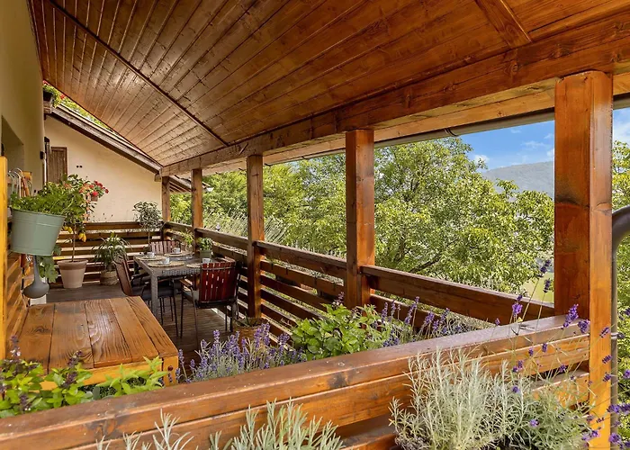 Herbal Marjetka Šentjur