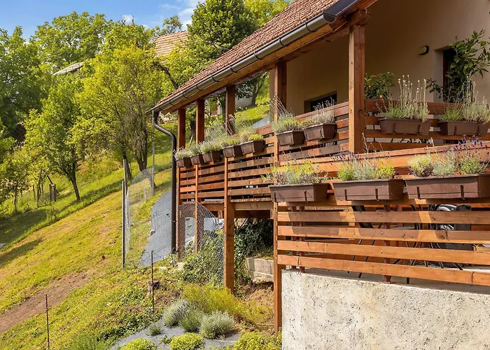 Vakantiehuis Herbal Marjetka Šentjur